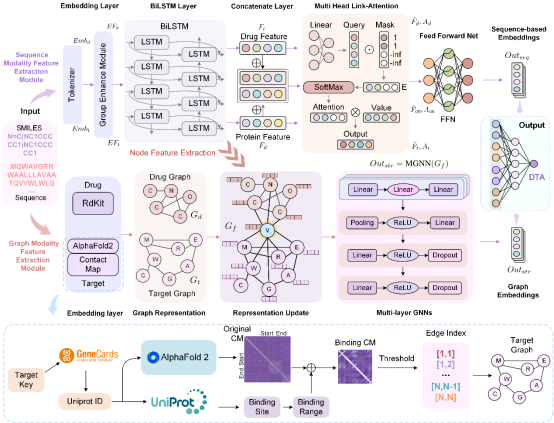 npj Digital Medicine | 北京大学化学生物学与生物技术学院陈语谦团队在药物靶点亲和力预测取得进展