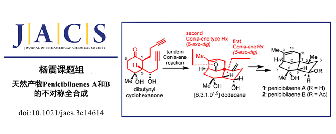 杨震课题组完成Penicibilaenes A和B的不对称全合成