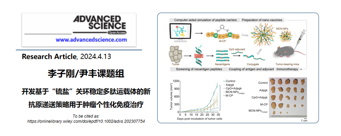 深圳湾实验室坪山生物医药研发转化中心/北京大学深圳研究生院李子刚/尹丰课题组在肿瘤个性化免疫治疗研究中取得重要突破