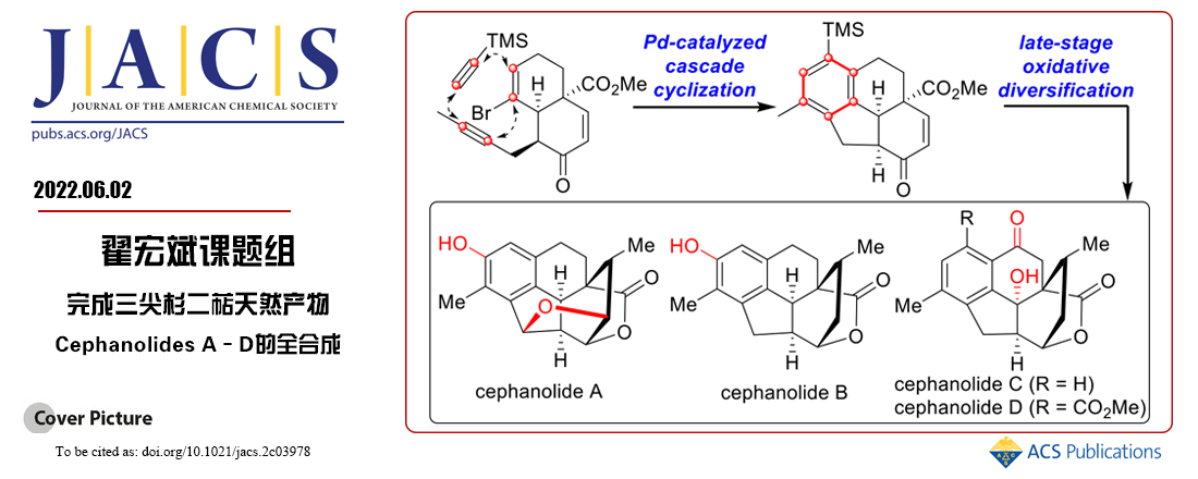 翟宏斌课题组完成了三尖杉二萜天然产物Cephanolides A-D的不对称全合成
